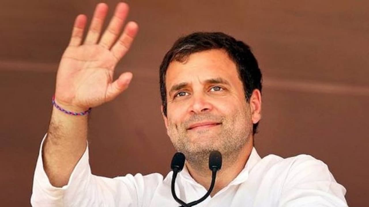 'বন্ধুত্ব প্রতিশোধ নেওয়ার কথা বলে না' নাম না করে ট্রাম্পকে খোঁচা রাহুলের 'বন্ধুত্ব প্রতিশোধ নেওয়ার কথা বলে না' নাম না করে ট্রাম্পকে খোঁচা রাহুলের