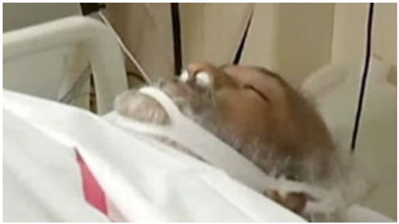 பிரபல காமெடி நடிகர் திடீர் மரணம்! சோகத்தில் ரசிகர்கள்! பிரபல காமெடி நடிகர் திடீர் மரணம்! சோகத்தில் ரசிகர்கள்!