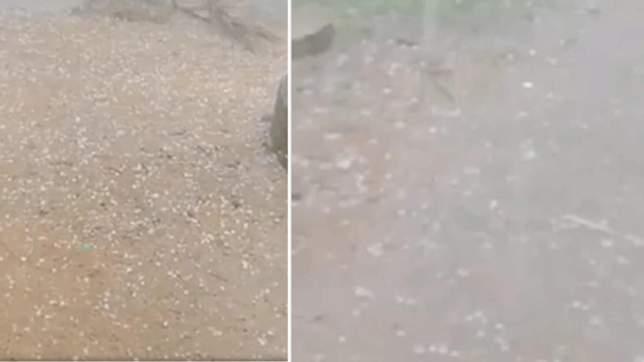 ஊரடங்கிற்கு நடுவே திருப்பத்தூரில் ஆலங்கட்டி மழை... மகிழ்ச்சியில் ஆட்டம் போட்ட மக்கள்..!