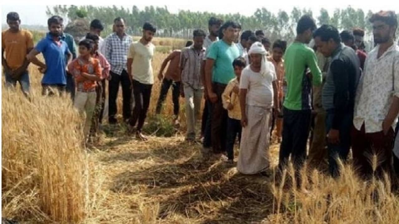 हिस्ट्रीशीटर के मुंह में मारी गोली, गेहूं की खेत में फेंका शव ... हिस्ट्रीशीटर के मुंह में मारी गोली, गेहूं की खेत में फेंका शव ...