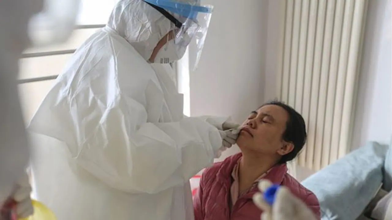 dead body of a COVID19 patient do not transmits coronavirus dead body of a COVID19 patient do not transmits coronavirus