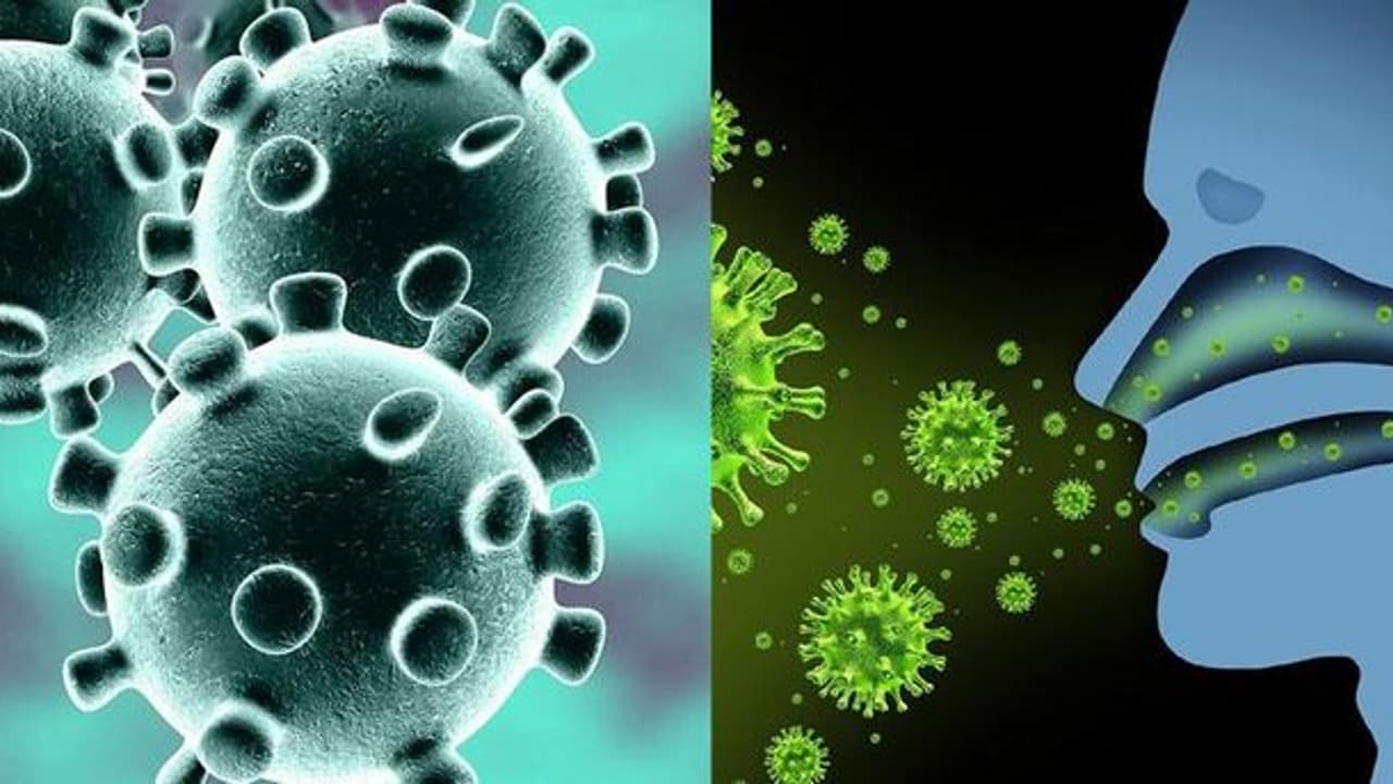 కరోనా వైరస్: భూపాలపల్లిలో కాంటాక్ట్ కేసు, అతని కూతురికి పాజిటివ్ కరోనా వైరస్: భూపాలపల్లిలో కాంటాక్ట్ కేసు, అతని కూతురికి పాజిటివ్