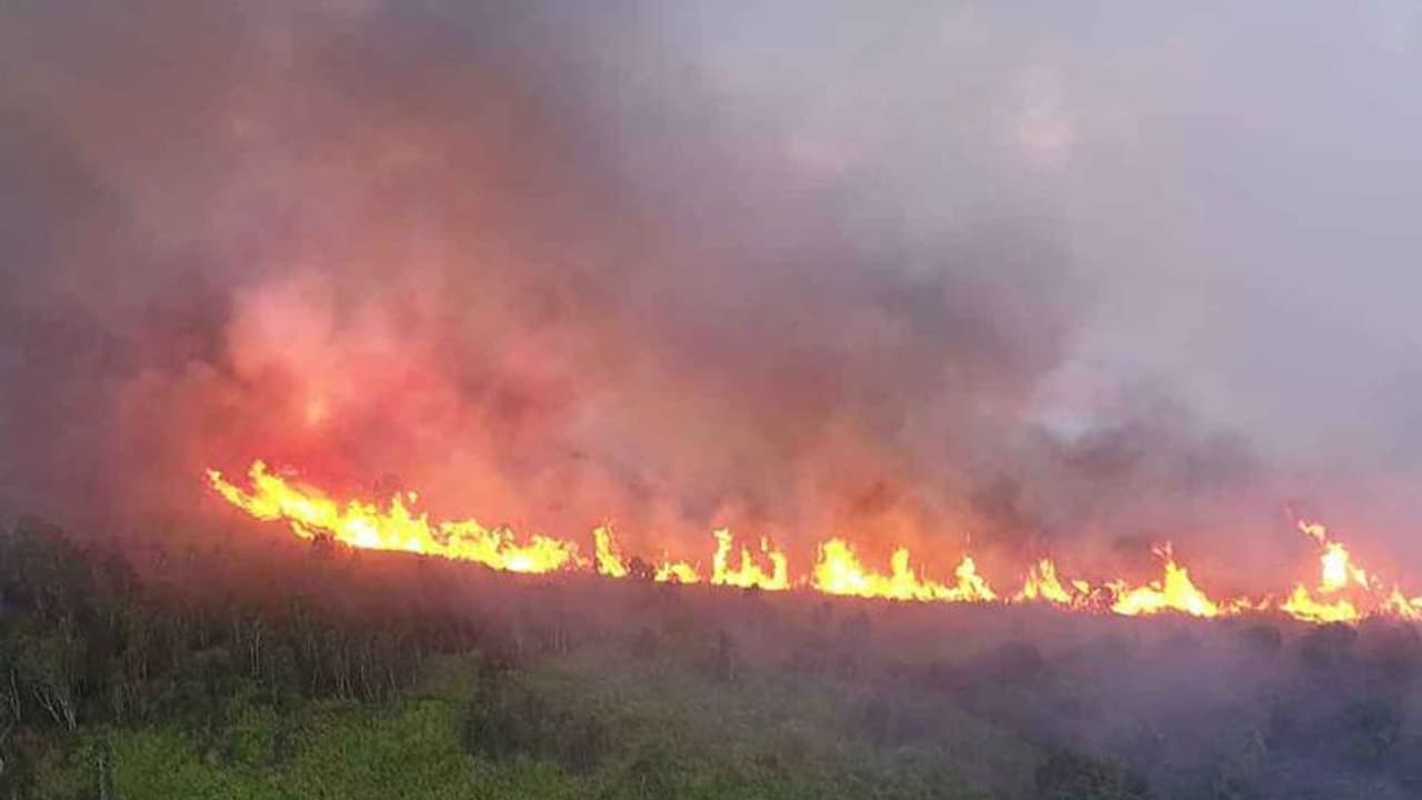 ಲಾಕ್‌ಡೌನ್‌ ಮಧ್ಯೆ ಕಾಡಿಗೆ ಬೆಂಕಿಯಿಟ್ಟು ಪ್ರಾಣಿ ಬೇಟೆ..!