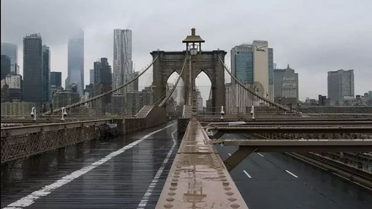 মৃত্যুপুরী আমেরিকায় জীবনের গল্প শোনালেন দুজন, একজন মৃত আর অন্যজন লড়ছেন করোনার সঙ্গে