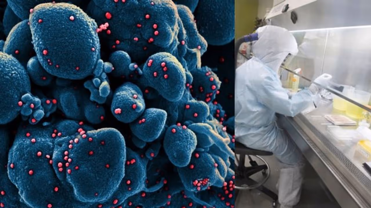 കൊറോണ വൈറസിനെ ലാബിൽ കൊന്ന് ശാസ്ത്രജ്ഞര്‍ !