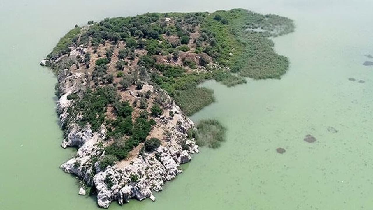 ഈ ദ്വീപും കൊറോണ വെെറസും തമ്മിലുള്ള ബന്ധമെന്താണ്...? ഈ ദ്വീപും കൊറോണ വെെറസും തമ്മിലുള്ള ബന്ധമെന്താണ്...?