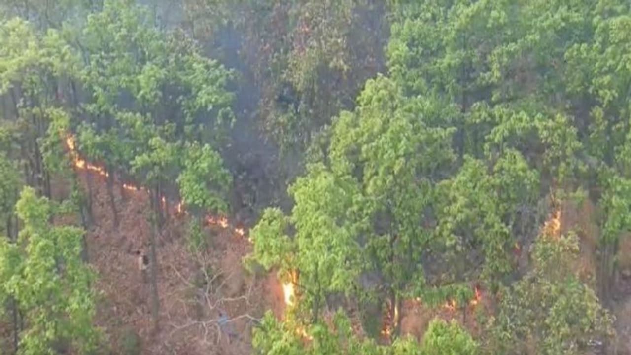 After Amazon, Australia wildfire, forest fire in India’s Susunia Hill After Amazon, Australia wildfire, forest fire in India’s Susunia Hill