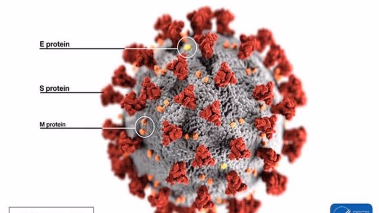 Coronavirus pandemic: India records 773 new cases & 32 deaths in just 24 hours
