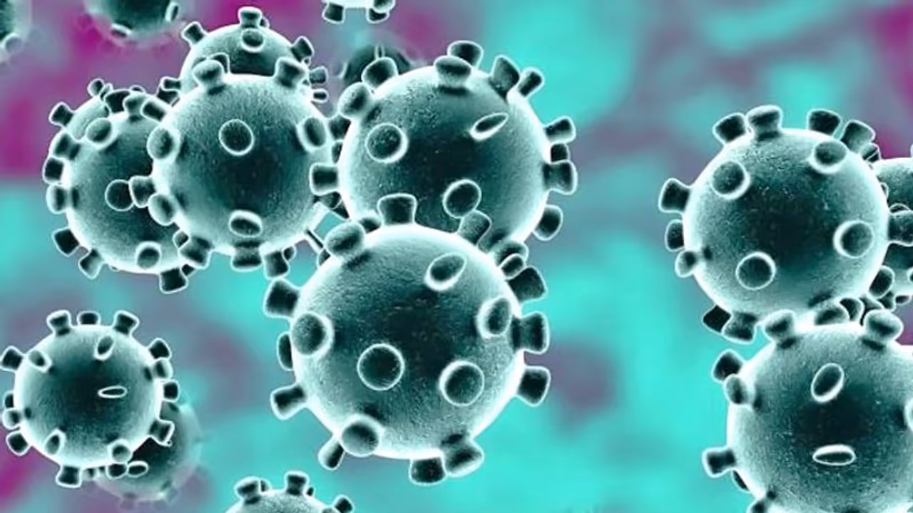 കോവിഡ് 19: കോഴിക്കോട് ജില്ലയില് 2100 പേര് നിരീക്ഷണ കാലയളവ് പൂര്ത്തിയാക്കി; പരിശോധനാ ഫലം കൂടുതലും നെഗറ്റീവ് കോവിഡ് 19: കോഴിക്കോട് ജില്ലയില് 2100 പേര് നിരീക്ഷണ കാലയളവ് പൂര്ത്തിയാക്കി; പരിശോധനാ ഫലം കൂടുതലും നെഗറ്റീവ്