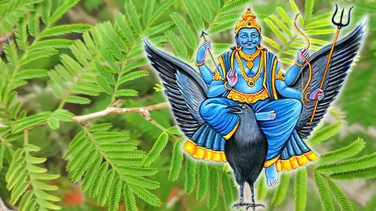 Vastu Tips: ಶನಿ ದೋಷ ಶುರುವಾಗಿದ್ಯಾ? ಈ ಸಸ್ಯದಿಂದ ದೋಷ ನಿವಾರಿಸಿಕೊಳ್ಳಿ..