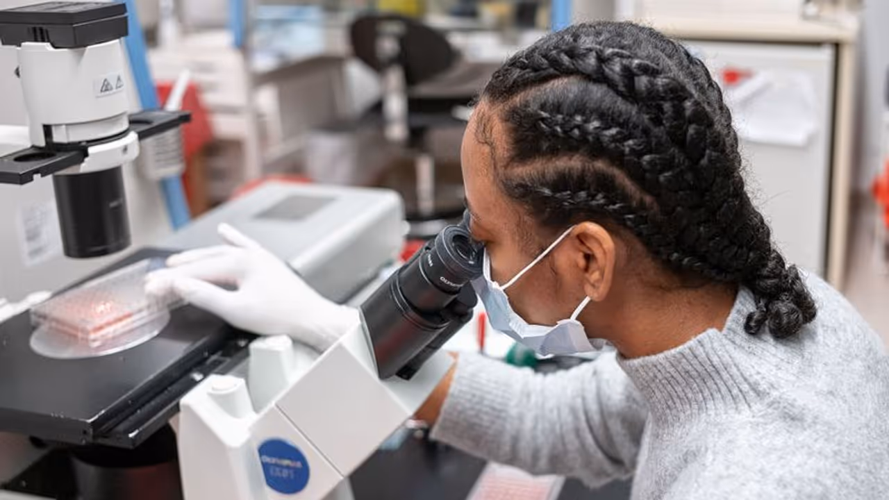 തുടര്ച്ചയായ രണ്ടാം ദിനവും രണ്ടായിരത്തിനടുത്ത് മരണം; ഞെട്ടി അമേരിക്ക തുടര്ച്ചയായ രണ്ടാം ദിനവും രണ്ടായിരത്തിനടുത്ത് മരണം; ഞെട്ടി അമേരിക്ക