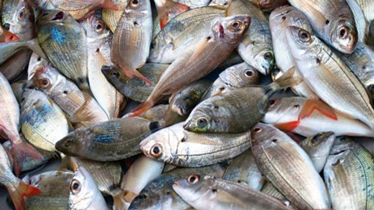 ഈ ലോക് ഡൗൺ കാലത്ത് ഫ്രഷായ മീന്‍ എങ്ങനെ തിരിച്ചറിയാം, ഇതാ ചില വഴികൾ