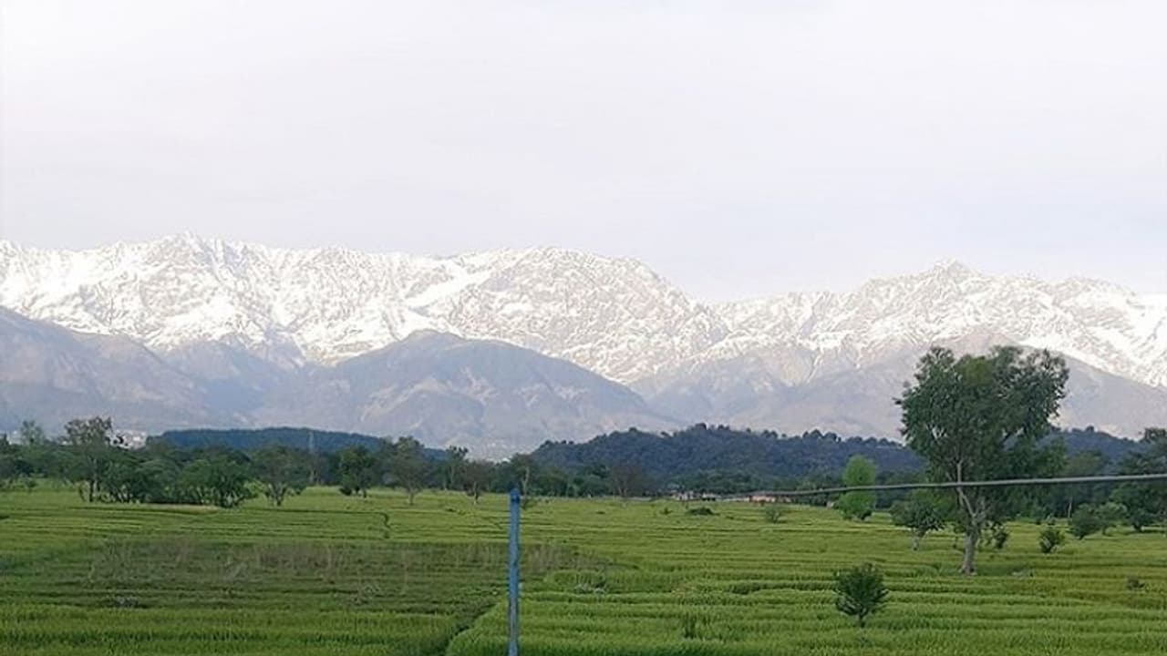 Delhi, Mumbai's pollution hotspots turn into green zones during COVID 19 lockdown Delhi, Mumbai's pollution hotspots turn into green zones during COVID 19 lockdown