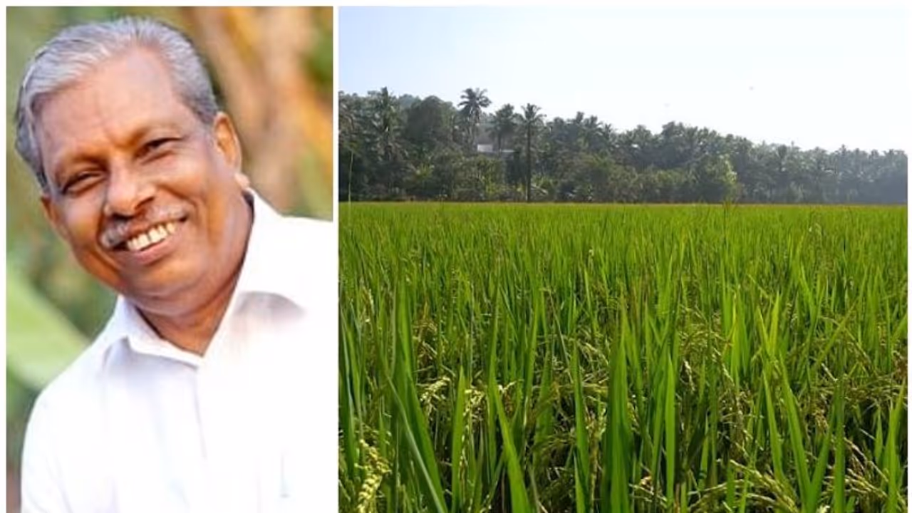 അരിമ്പൂർ പാടത്തെ കൊയ്ത്ത് മുടങ്ങില്ല, പൊലീസിനെതിരെ അന്വേഷണം ഉണ്ടാകും; മന്ത്രി എ സി മൊയ്തീൻ അരിമ്പൂർ പാടത്തെ കൊയ്ത്ത് മുടങ്ങില്ല, പൊലീസിനെതിരെ അന്വേഷണം ഉണ്ടാകും; മന്ത്രി എ സി മൊയ്തീൻ