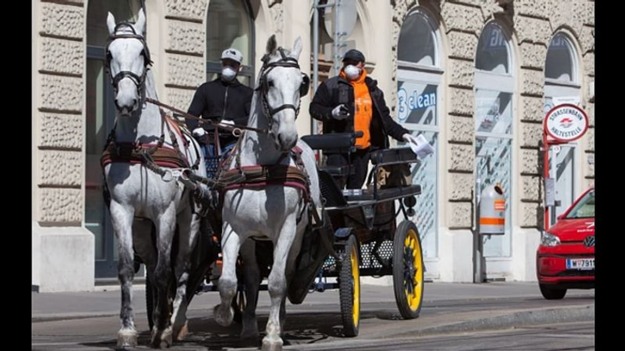 Coronavirus lockdown: Horse drawn carriages deliver food to senior citizens in this city Coronavirus lockdown: Horse drawn carriages deliver food to senior citizens in this city