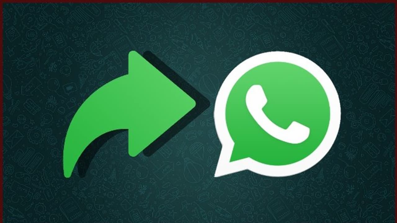 ഫോര്‍വേഡ് ചെയ്ത സന്ദേശങ്ങള്‍ കാണാതിരിക്കാനും ഒഴിവാക്കാനുമുള്ള ഓപ്ഷനുമായി വാട്ട്‌സ്ആപ്പ്