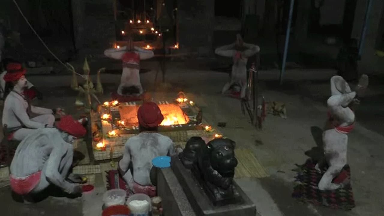 கொரோனாவின் கோரப்பிடியில் தமிழகம்... தலைகீழாக நின்று அகோரிகள் சிறப்பு பூஜை..! கொரோனாவின் கோரப்பிடியில் தமிழகம்... தலைகீழாக நின்று அகோரிகள் சிறப்பு பூஜை..!