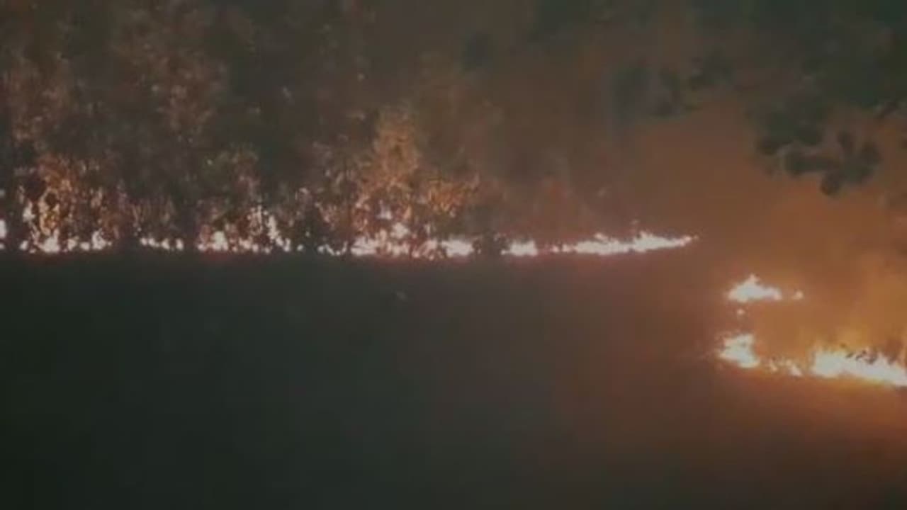 চন্দ্রকোনায় শালগাছের জঙ্গলে বিধ্বংসী অগ্নিকাণ্ড, বন্যপ্রাণীদের বিপদের আশঙ্কা চন্দ্রকোনায় শালগাছের জঙ্গলে বিধ্বংসী অগ্নিকাণ্ড, বন্যপ্রাণীদের বিপদের আশঙ্কা