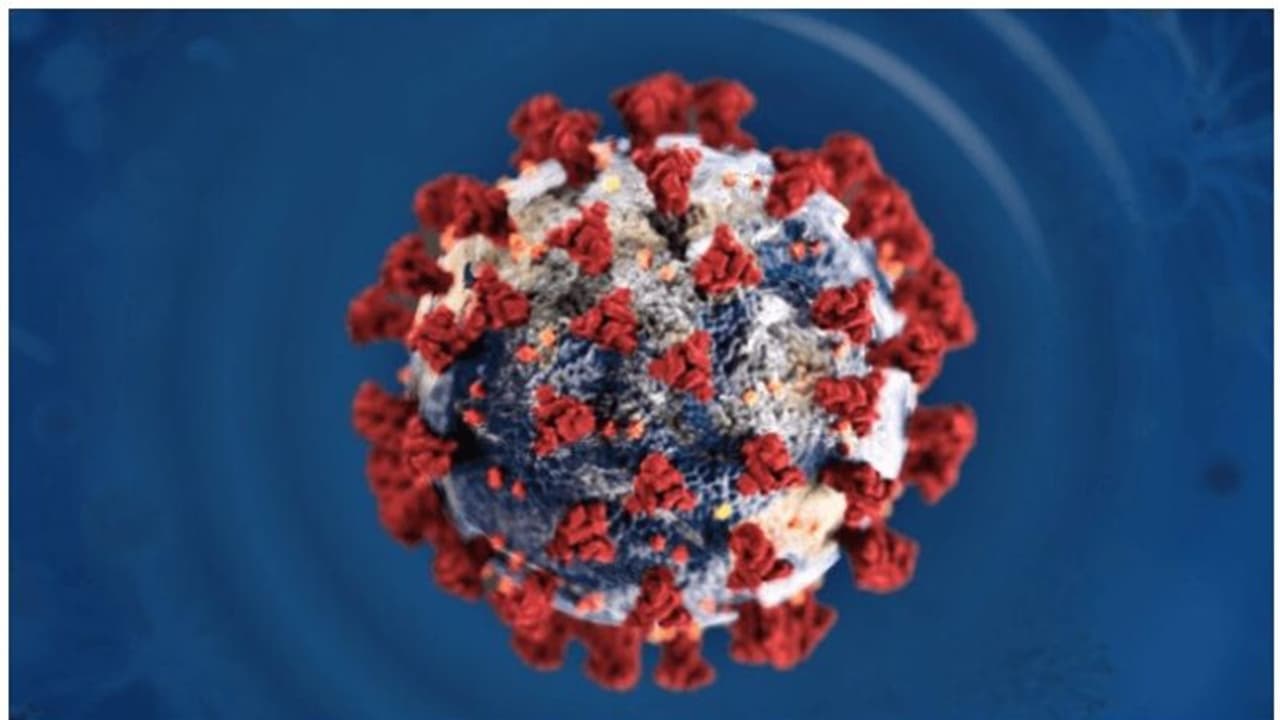 അമേരിക്കയിൽ ദമ്പതികളടക്കം മൂന്ന് മലയാളികൾ കൂടി മരിച്ചു, കൊവിഡെന്ന് സംശയം