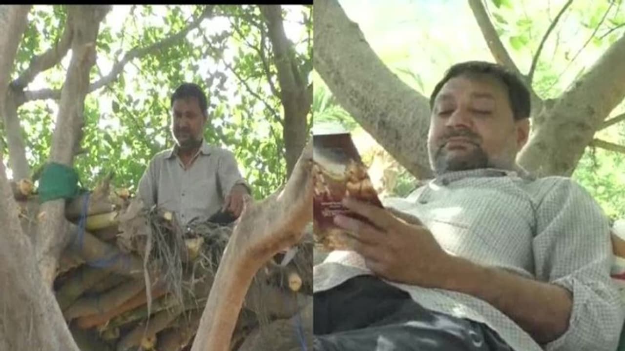 മരക്കൊമ്പുകൾ കൊണ്ട് കുടില്; കുടുംബത്തില് നിന്ന് മാറി ഏകാന്തവാസം, വേറിട്ട സാമൂഹിക അകലം പാലിക്കല് ! മരക്കൊമ്പുകൾ കൊണ്ട് കുടില്; കുടുംബത്തില് നിന്ന് മാറി ഏകാന്തവാസം, വേറിട്ട സാമൂഹിക അകലം പാലിക്കല് !