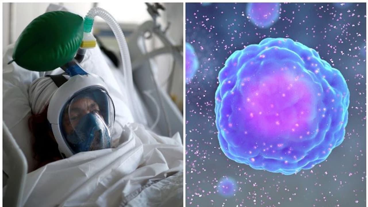 യുവാക്കളായ കൊവിഡ് രോഗികളെ ചതിക്കുന്നത് സ്വന്തം രോഗപ്രതിരോധവ്യൂഹമോ? അറിയാം സൈറ്റോക്കിൻസ്റ്റോം എന്ന പ്രതിഭാസത്തെ യുവാക്കളായ കൊവിഡ് രോഗികളെ ചതിക്കുന്നത് സ്വന്തം രോഗപ്രതിരോധവ്യൂഹമോ? അറിയാം സൈറ്റോക്കിൻസ്റ്റോം എന്ന പ്രതിഭാസത്തെ