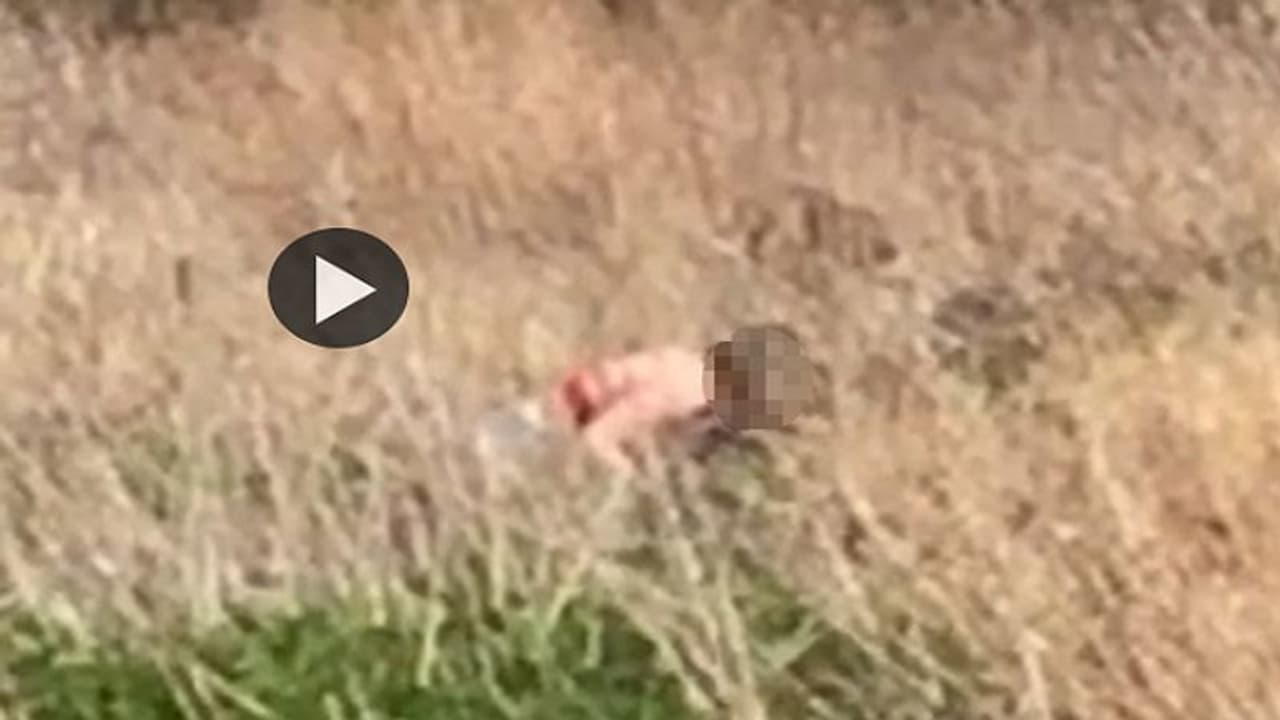 ಲಾಕ್‌ಡೌನ್ ನಡುವೆ ಲಜ್ಜೆ ಬಿಟ್ಟ ಜೋಡಿ; ಪಾರ್ಕ್‌ನಲ್ಲಿಯೇ ಬಹಿರಂಗ ಕಾಮದಾಟ!