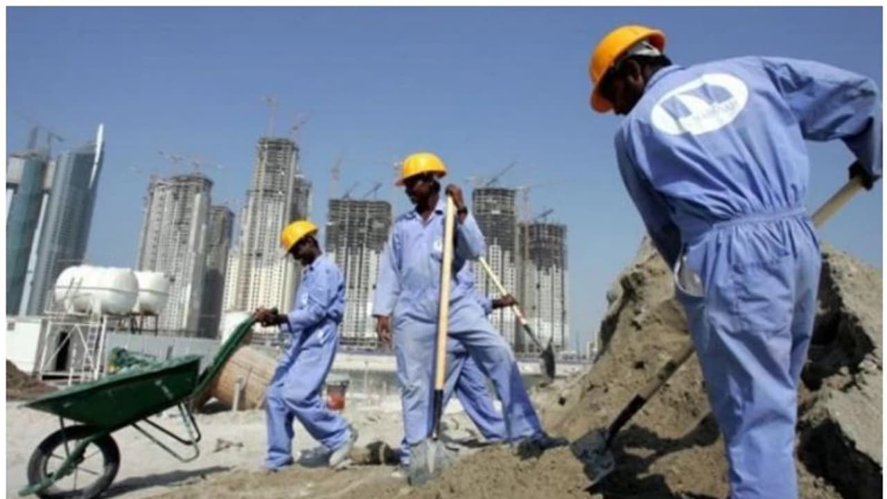 ലേബര്‍ ക്യാമ്പുകളിലെ തൊഴിലാളികളെ സ്‌കൂളുകളിലേക്ക് മാറ്റാന്‍ നടപടി