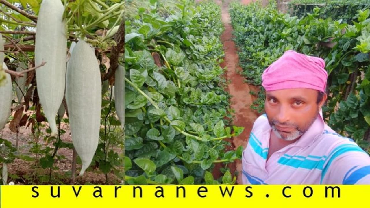 ಲಾಕ್ಡೌನ್ ಎಫೆಕ್ಟ್, ಮರುಕಳಿಸಿದ ಹಳೆ ಪದ್ಧತಿ: ಕೃಷಿಕನ ಮನೆಗೇ ಬಂದು ತರಕಾರಿ ಖರೀದಿ..! ಲಾಕ್ಡೌನ್ ಎಫೆಕ್ಟ್, ಮರುಕಳಿಸಿದ ಹಳೆ ಪದ್ಧತಿ: ಕೃಷಿಕನ ಮನೆಗೇ ಬಂದು ತರಕಾರಿ ಖರೀದಿ..!