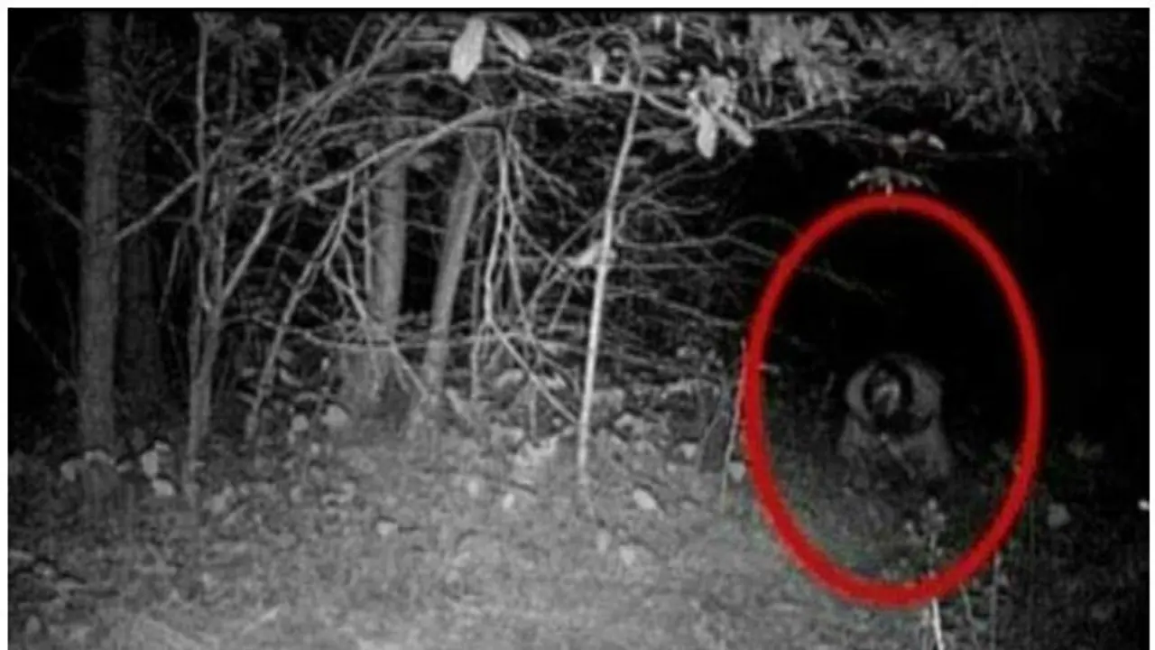 കുന്നംകുളത്തെ അജ്ഞാത മനുഷ്യൻ; ജില്ലാ പൊലീസ് മേധാവി അന്വേഷിച്ച് നടപടിയെടുക്കണമെന്ന് ഹൈക്കോടതി കുന്നംകുളത്തെ അജ്ഞാത മനുഷ്യൻ; ജില്ലാ പൊലീസ് മേധാവി അന്വേഷിച്ച് നടപടിയെടുക്കണമെന്ന് ഹൈക്കോടതി