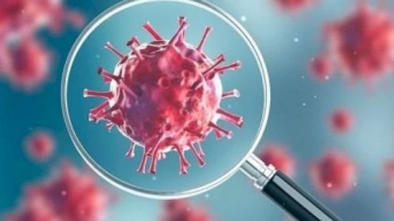 ఇండియాలో 24 గంటల్లో 909 కరోనా కొత్త కేసులు, మొత్తం 8356కి చేరిక ఇండియాలో 24 గంటల్లో 909 కరోనా కొత్త కేసులు, మొత్తం 8356కి చేరిక