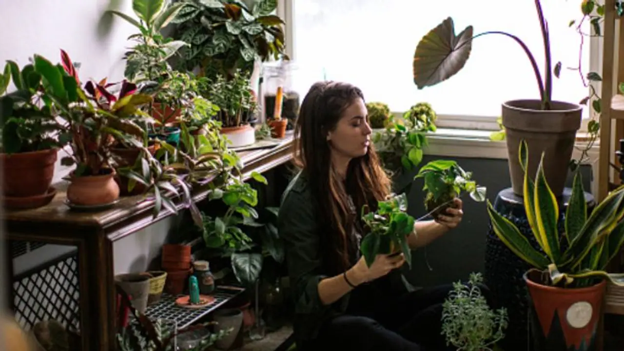 লকডাউনে সাজিয়ে তুলুন সখের ব্যালকনি, রইল অন্দরসজ্জার তাক লাগানো টিপস লকডাউনে সাজিয়ে তুলুন সখের ব্যালকনি, রইল অন্দরসজ্জার তাক লাগানো টিপস