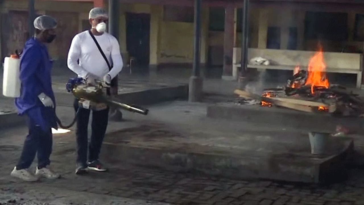 बुजुर्ग की मौत के बाद पूरा परिवार पॉजिटिव, बेटा बहू और पोता भी संक्रमित..चप्पे चप्पे पर तैनात पुलिस बुजुर्ग की मौत के बाद पूरा परिवार पॉजिटिव, बेटा बहू और पोता भी संक्रमित..चप्पे चप्पे पर तैनात पुलिस