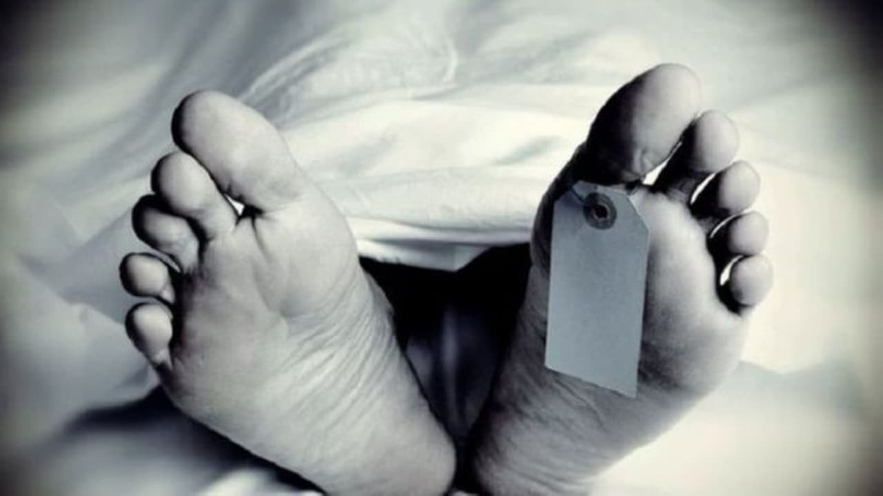 മലയാറ്റൂർ തീർഥാടകർ സഞ്ചരിച്ചിരുന്ന വാഹനം ലോറിയുമായി കൂട്ടിയിടിച്ച് ഒരാൾ മരിച്ചു; 5പേർക്ക് പരിക്ക് മലയാറ്റൂർ തീർഥാടകർ സഞ്ചരിച്ചിരുന്ന വാഹനം ലോറിയുമായി കൂട്ടിയിടിച്ച് ഒരാൾ മരിച്ചു; 5പേർക്ക് പരിക്ക്