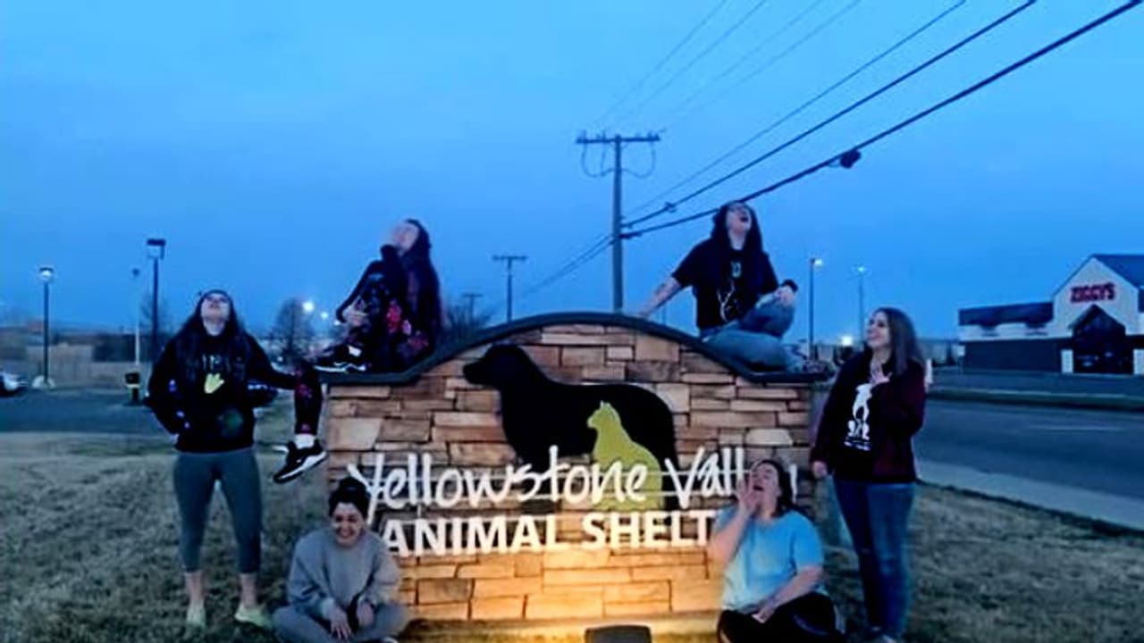 রোজ রাত আটটা বাজলেই দেশজুড়ে সবাই করছে ঘেউ ঘেউ, করোনাতঙ্কের আমেরিকায় হচ্ছেটা কী, দেখুন রোজ রাত আটটা বাজলেই দেশজুড়ে সবাই করছে ঘেউ ঘেউ, করোনাতঙ্কের আমেরিকায় হচ্ছেটা কী, দেখুন