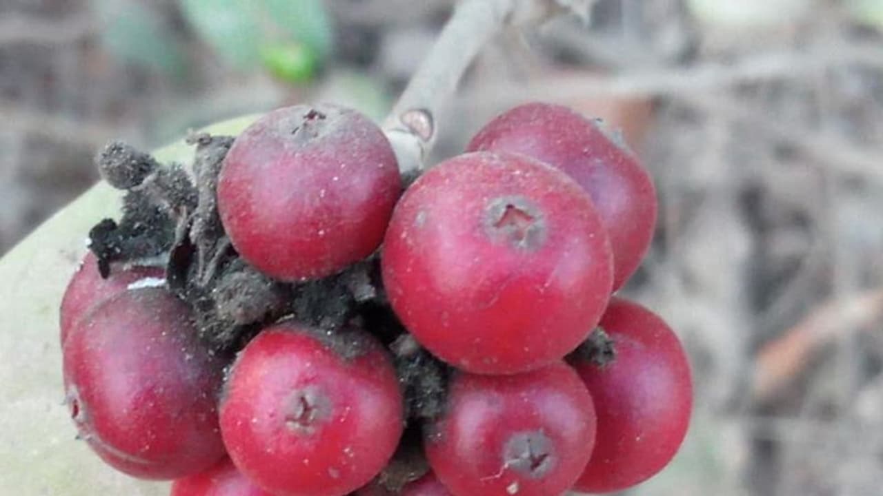 ಪ್ರಕೃತಿ ಚಾಲೆಂಜ್ ಹಾಕುತ್ತಿದೆ, ಯಾಕೆ ಯಾರೂ Accept ಮಾಡ್ತಾ ಇಲ್ಲ?!