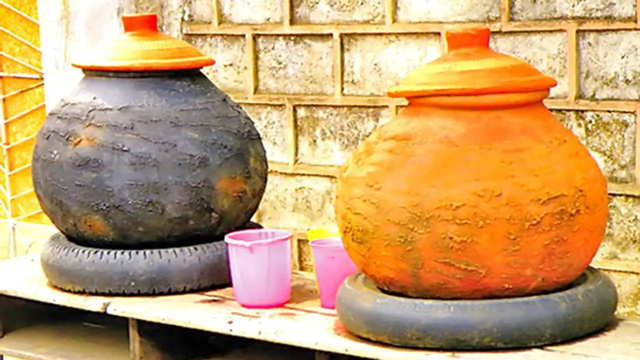 शुरू हो चुका है वैशाख मास, इस महीने में क्या करना और क्या नहीं, जानिए शुरू हो चुका है वैशाख मास, इस महीने में क्या करना और क्या नहीं, जानिए