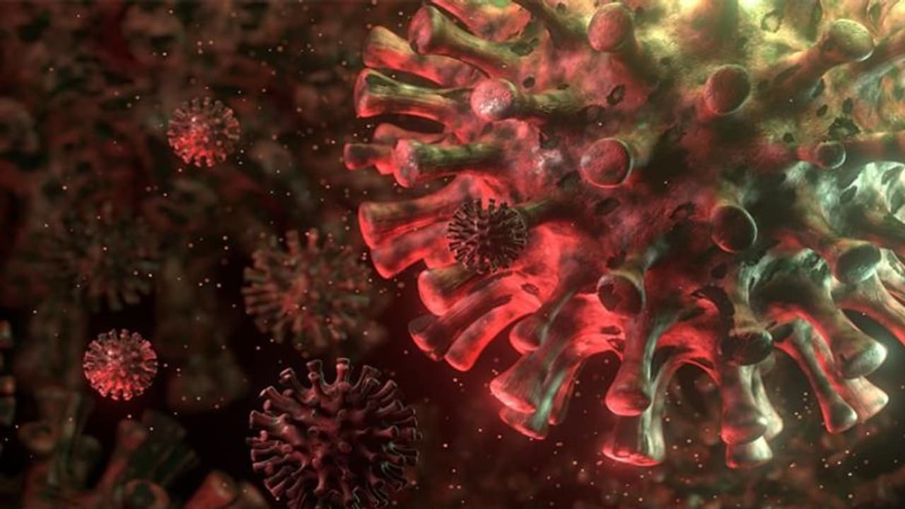 Coronavirus: Karnataka registers 69 fresh cases, death toll rises to 43 Coronavirus: Karnataka registers 69 fresh cases, death toll rises to 43