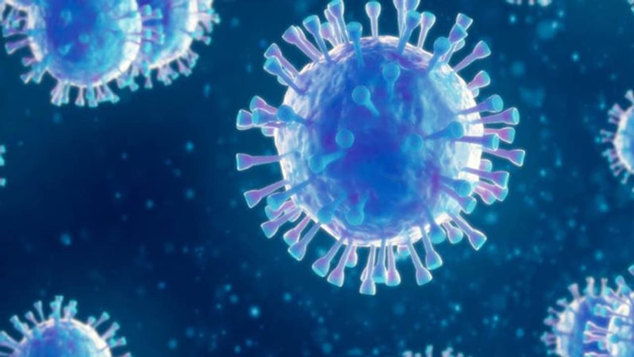 കൂടെയുള്ള ആളിന് കൊറോണ വൈറസിന്റെ ലക്ഷണങ്ങൾ കണ്ടാൽ നിങ്ങൾ ചെയ്യേണ്ടത്...? കൂടെയുള്ള ആളിന് കൊറോണ വൈറസിന്റെ ലക്ഷണങ്ങൾ കണ്ടാൽ നിങ്ങൾ ചെയ്യേണ്ടത്...?