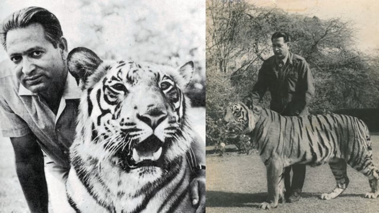 'ആ കടുവയുടെ തുറന്ന കണ്ണുകൾ കാലങ്ങളോളം എന്നെ വേട്ടയാടി'; ഇദ്ദേഹമെങ്ങനെയാണ് കടുവകൾക്ക് തോഴനായത് ?