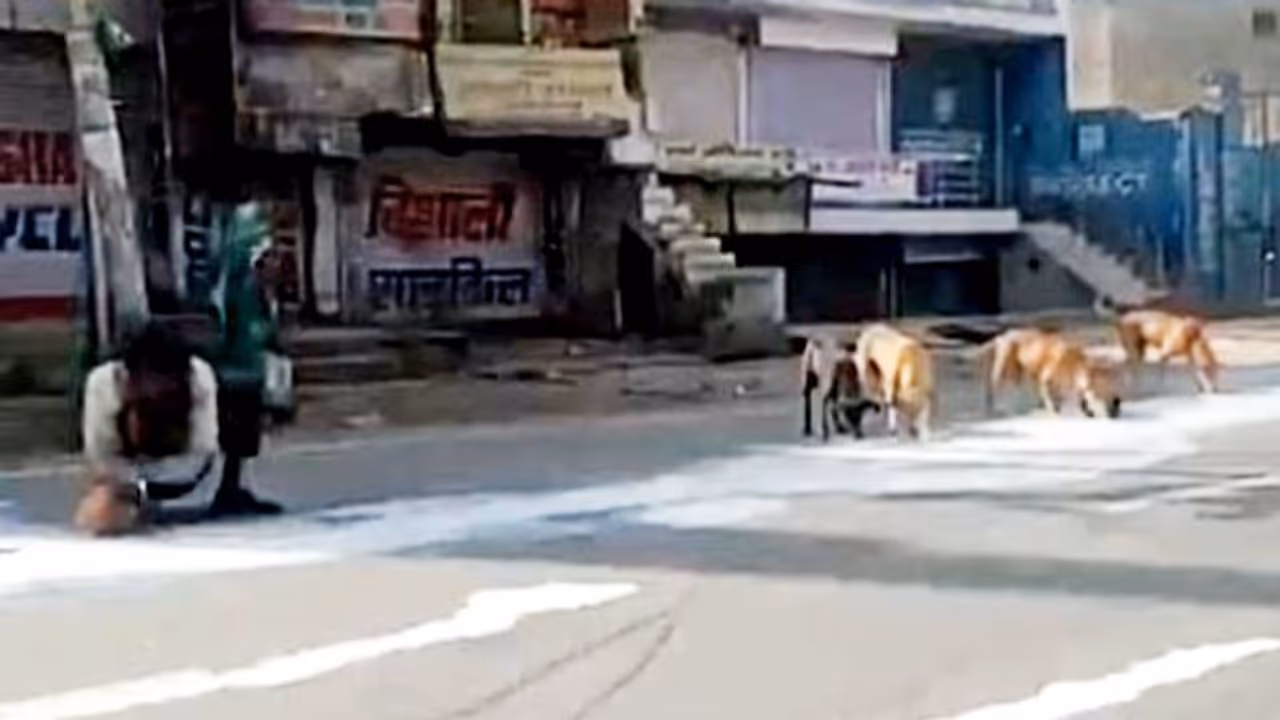 রাস্তায় গড়ানো দুধ একইসঙ্গে চাটছে মানুষ ও কুকুর, করোনায় প্রকট অনাহারের যাতনা, দেখুন