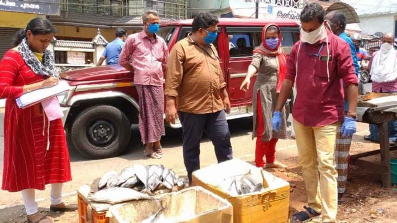 സാഗർ റാണി തുടരുന്നു; ആലപ്പുഴയിലെ വിവിധയിടങ്ങളില്‍ പഴകിയ മത്സ്യം പിടിച്ചു