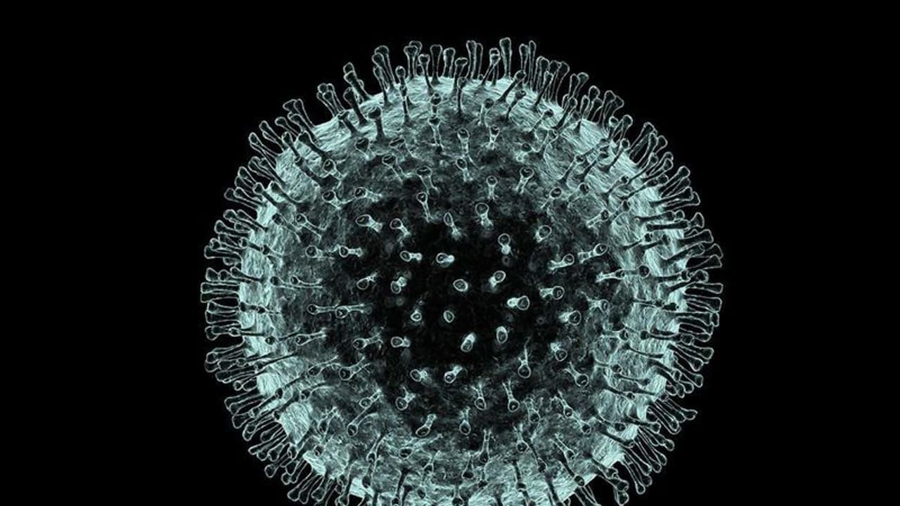 లాక్‌డౌన్‌కు పోలీసులకు మద్దతుగా నిలిచిన గిన్నిస్ రికార్డు విజేత