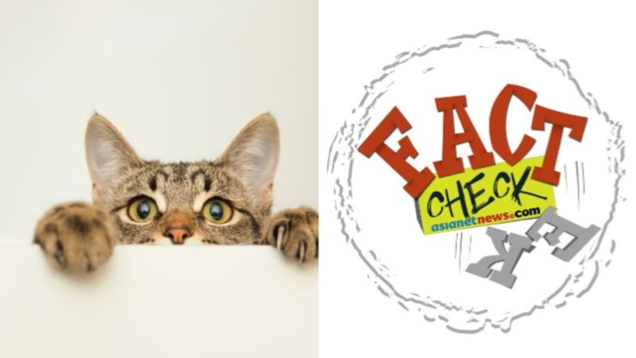 വളർത്തുമൃഗങ്ങളില് നിന്ന് മനുഷ്യരിലേക്ക് പടരുമോ കൊവിഡ് 19; നിഗമനങ്ങള് ഇങ്ങനെ വളർത്തുമൃഗങ്ങളില് നിന്ന് മനുഷ്യരിലേക്ക് പടരുമോ കൊവിഡ് 19; നിഗമനങ്ങള് ഇങ്ങനെ