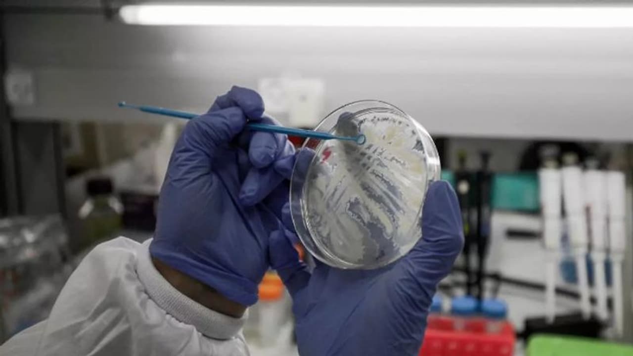 കൊവിഡ് 19; രണ്ട് വാക്സിൻ കൂടി മനുഷ്യരിൽ പരീക്ഷിക്കാൻ ചൈന