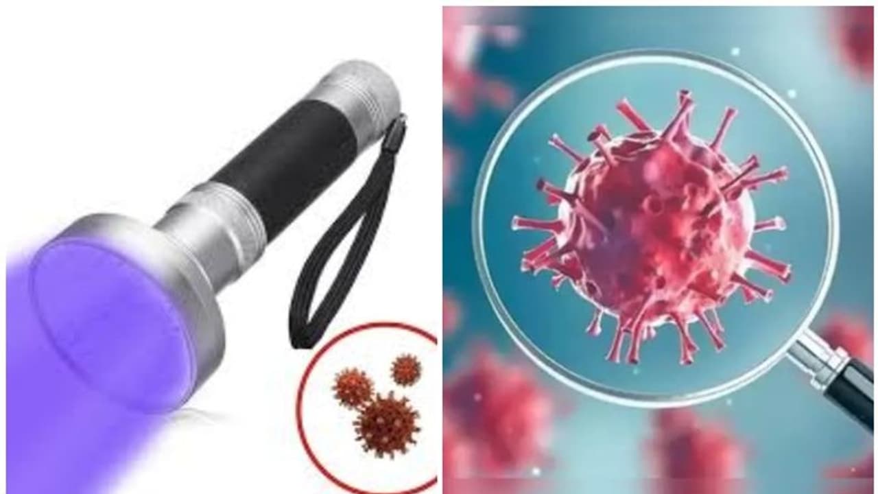 വൈറസുകളെ നശിപ്പിക്കാന്‍ കഴിയുന്ന ടോര്‍ച്ചുമായി വിദ്യാര്‍ഥികള്‍; പരീക്ഷണങ്ങള്‍ക്ക് താങ്ങായത് അധ്യാപകനായ പിതാവ്