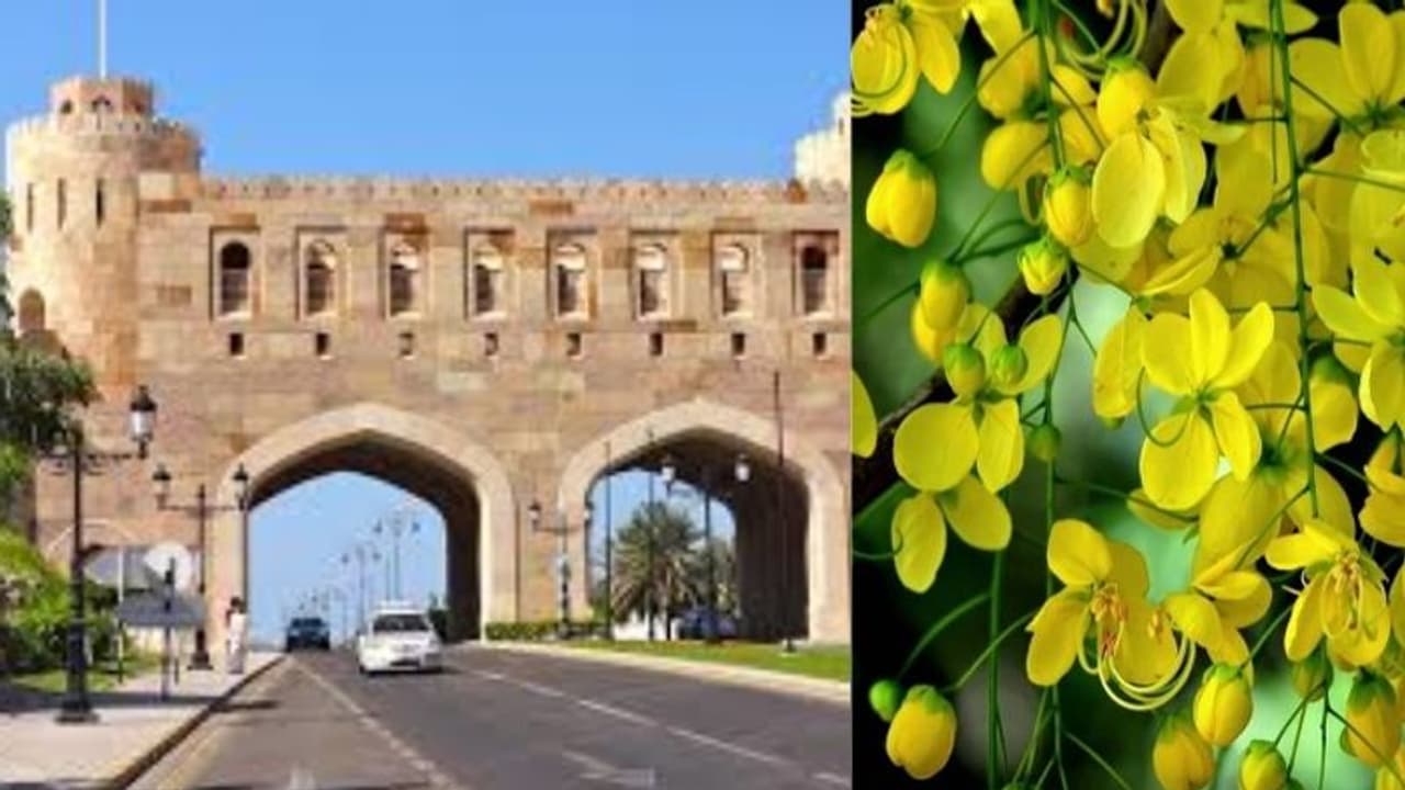 സദ്യയില്ല, ചടങ്ങുകളില്ല; ആര്‍ഭാടങ്ങളില്ലാതെ പ്രവാസ ലോകത്തെ വിഷു ആഘോഷം