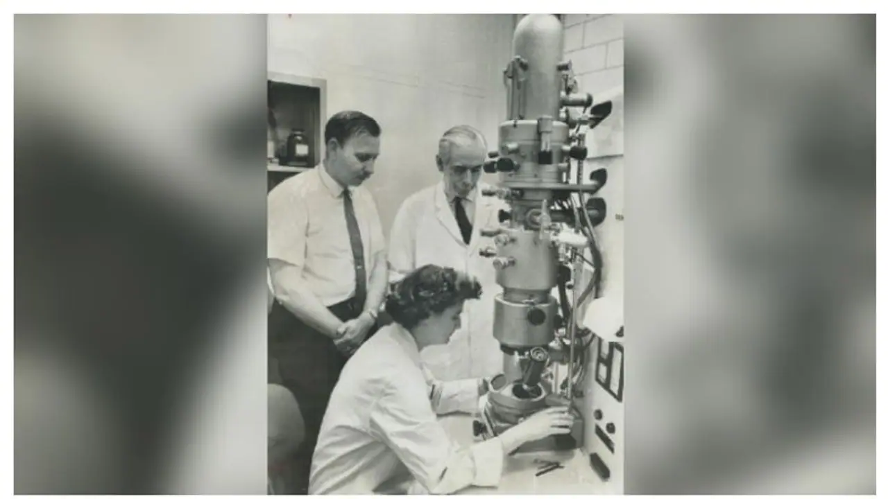 ১৯৬৪ তে করোনাভাইরাস আবিষ্কার করেছিলেন এই মহিলা বিজ্ঞানী, কেউ তখন মানেনি তাঁর দাবি ১৯৬৪ তে করোনাভাইরাস আবিষ্কার করেছিলেন এই মহিলা বিজ্ঞানী, কেউ তখন মানেনি তাঁর দাবি