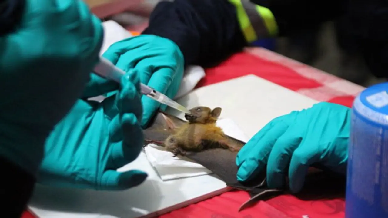 ఏపీలో ప్రతి రోజూ 17 వేల మందికి కరోనా పరీక్షలు: జవహర్ రెడ్డి