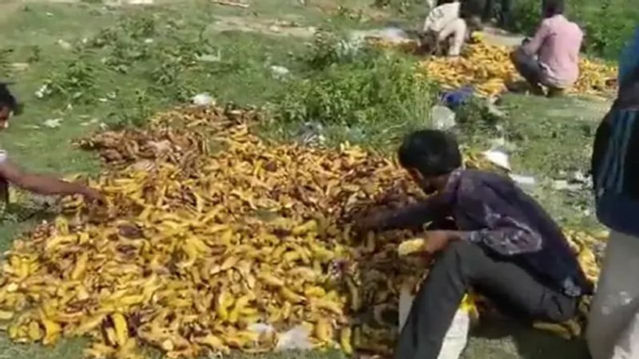 ഇത് ലോക്ക്ഡൗണ് കാലത്തെ ദുരന്തചിത്രം; ചീഞ്ഞ പഴങ്ങള് കൂട്ടിയിട്ട ശ്മശാനപ്പറമ്പില് കുടിയേറ്റത്തൊഴിലാളികള് ഇത് ലോക്ക്ഡൗണ് കാലത്തെ ദുരന്തചിത്രം; ചീഞ്ഞ പഴങ്ങള് കൂട്ടിയിട്ട ശ്മശാനപ്പറമ്പില് കുടിയേറ്റത്തൊഴിലാളികള്