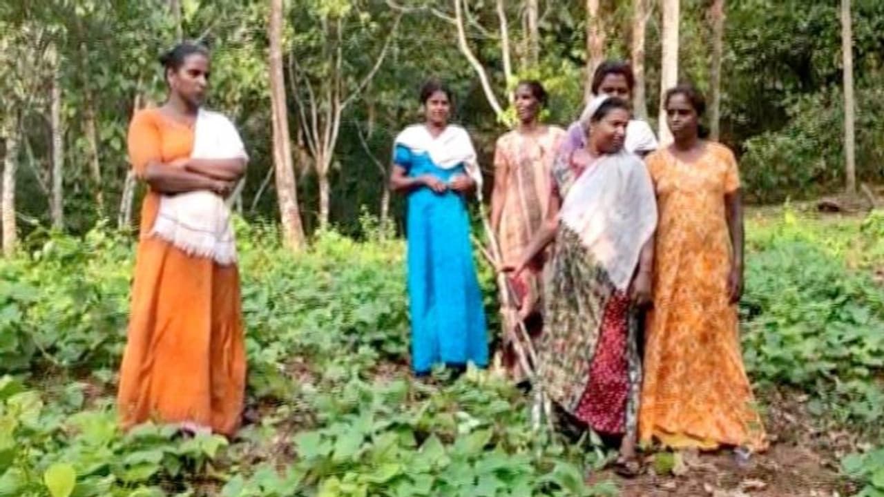 കള്ളവാറ്റുകാരെ പൊക്കാന്‍ കുടുംബശ്രീ പ്രവര്‍ത്തകരുടെ 'റെയ്ഡ്'; നൂറ് ലിറ്റര്‍ വാഷ് കണ്ടെത്തി